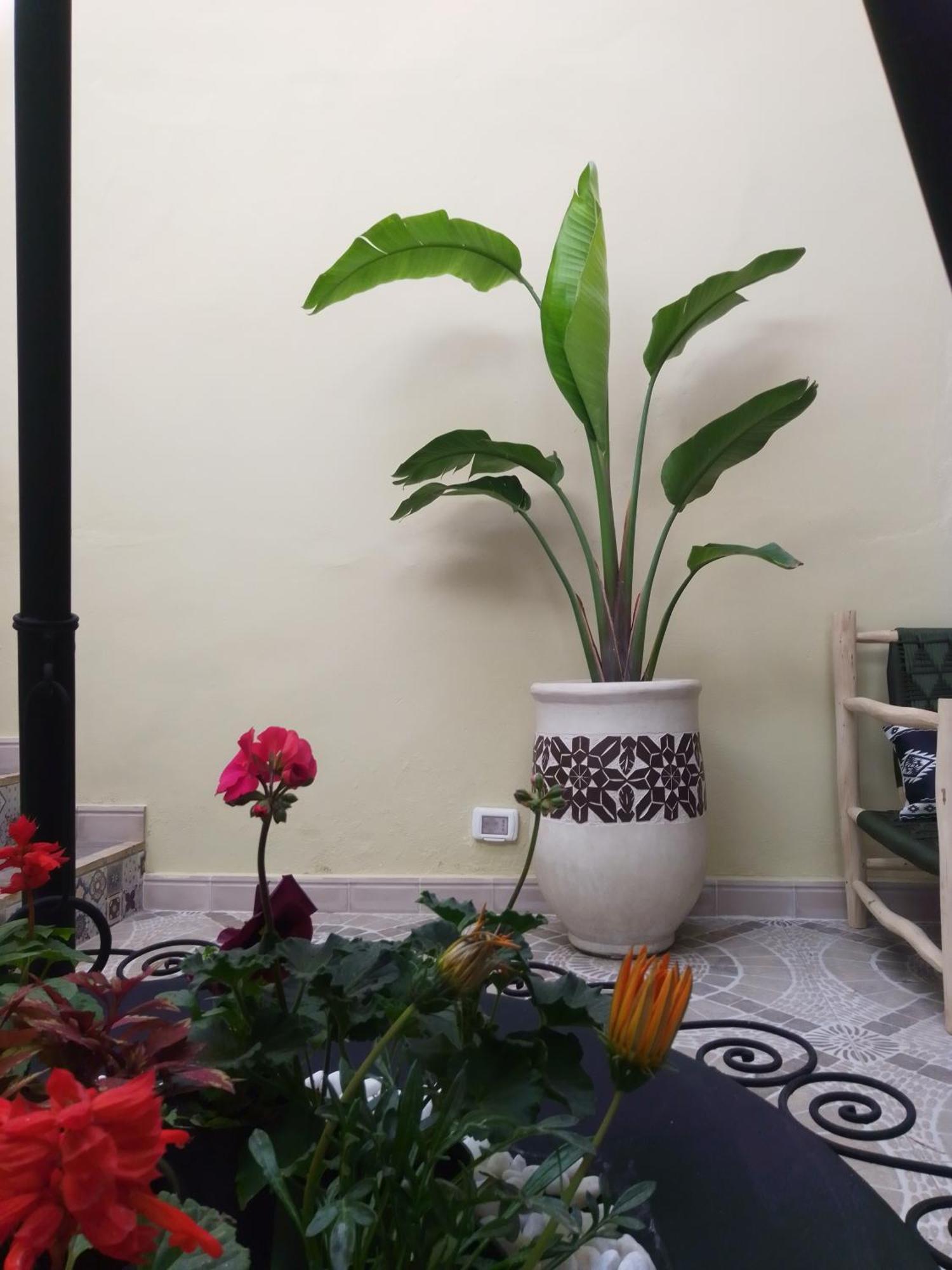 Riad Bouganville Bleu Marrakesz Zewnętrze zdjęcie