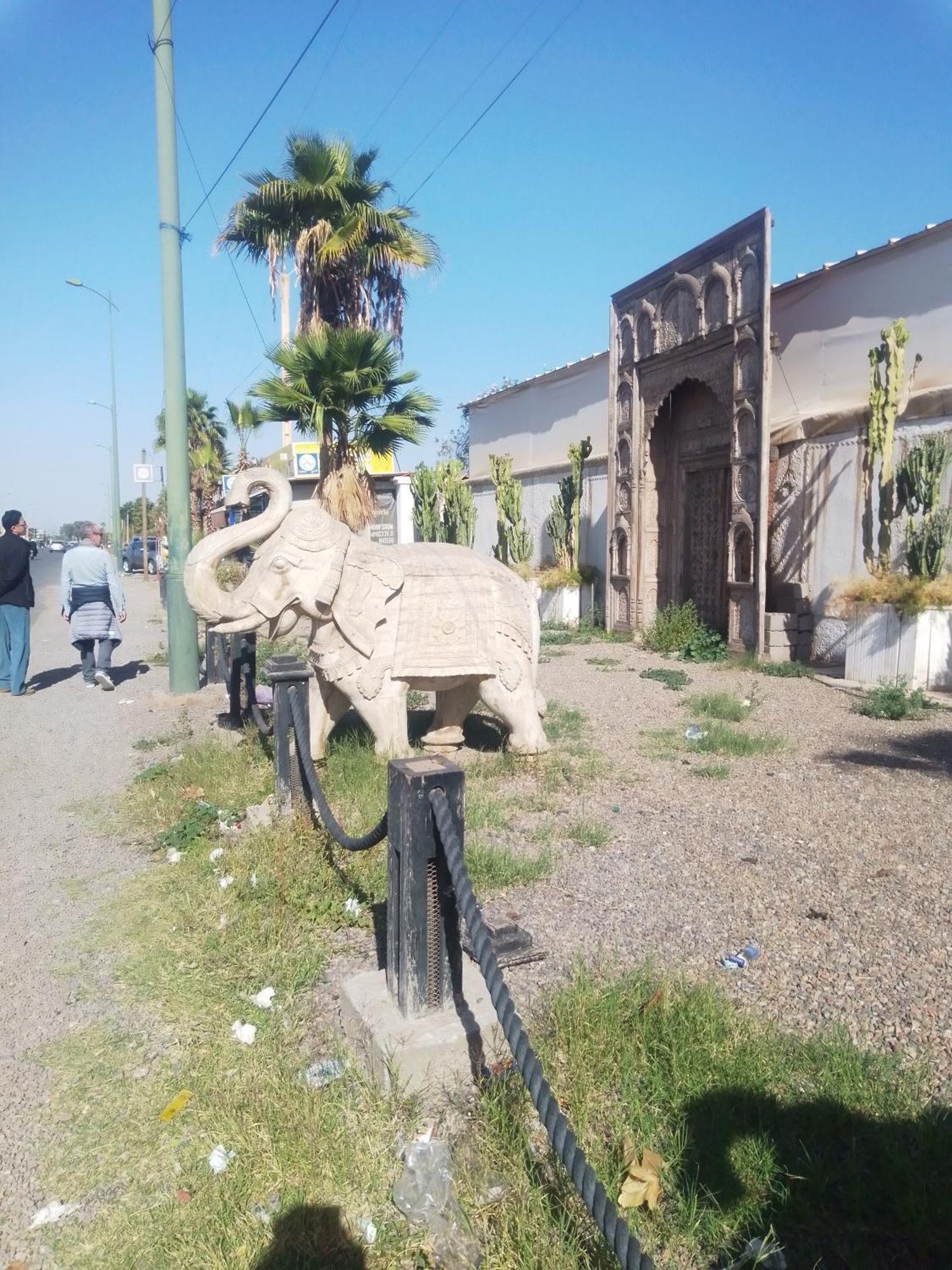 Riad Bouganville Bleu Marrakesz Zewnętrze zdjęcie